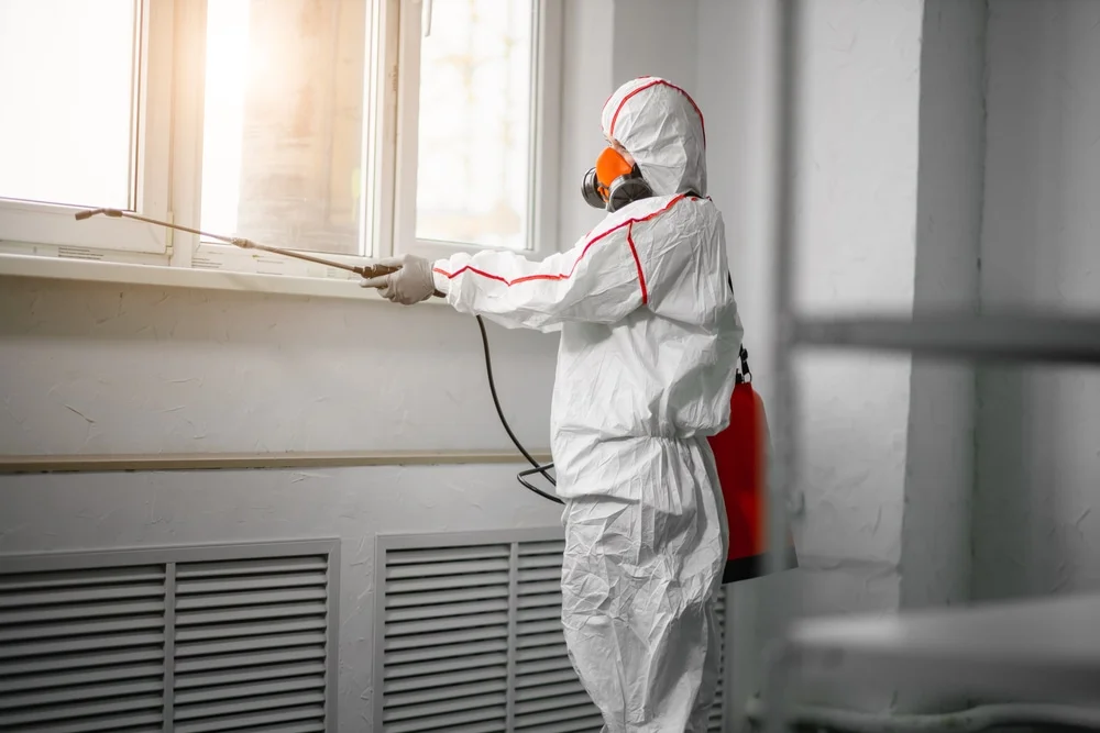 Professional mold remediation services in Mona, UT